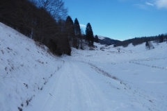 Giro del Monte Valbella
