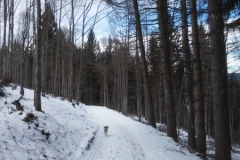 Giro del Monte Valbella