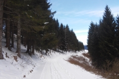 Giro del Monte Valbella