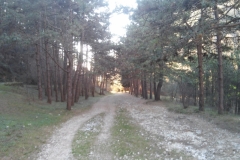 Percorso da Valle Santa Felicita