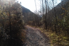 Percorso da Valle Santa Felicita