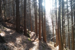 Percorso da Valle Santa Felicita