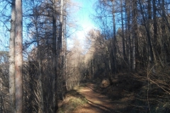 Percorso da Valle Santa Felicita