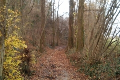 Sentiero del Collalto