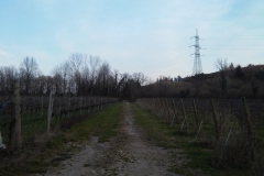 Sentiero del Collalto