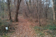 Sentiero del Collalto