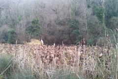 Sentiero del Collalto