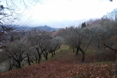 Sentiero di San Lorenzo