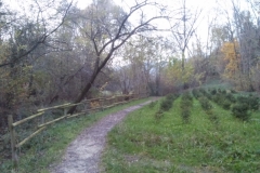 Sentiero Valle delle Rù