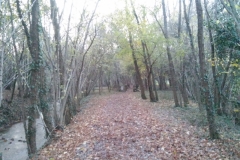 Sentiero Valle delle Rù