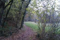 Sentiero Valle delle Rù