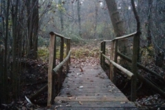 Sentiero Valle delle Rù